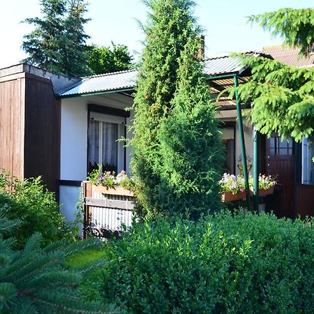 Holiday Home In Cattenstedt Harz With Garden エクステリア 写真